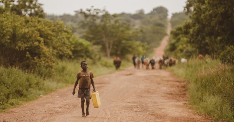 pexels-photo-28100862-28100862-1