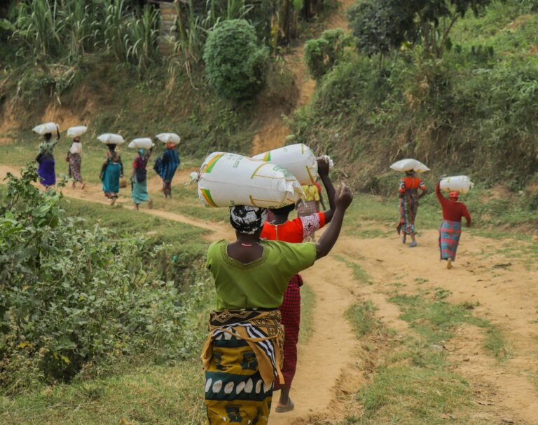 pexels-photo-34185228-34185228